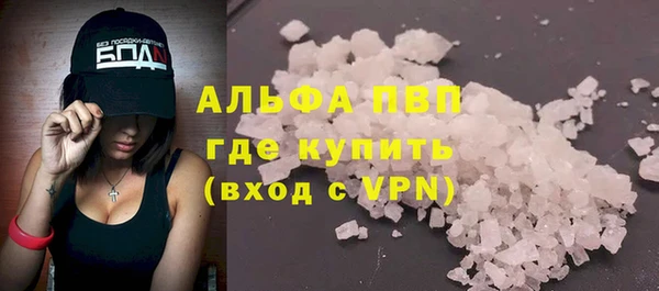 спиды Богородицк
