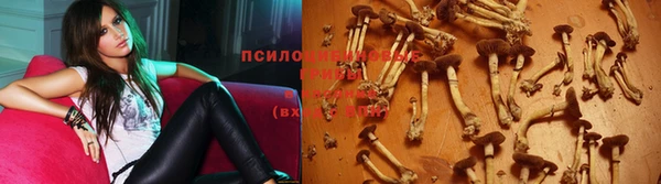 спиды Богородицк