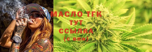спиды Богородицк
