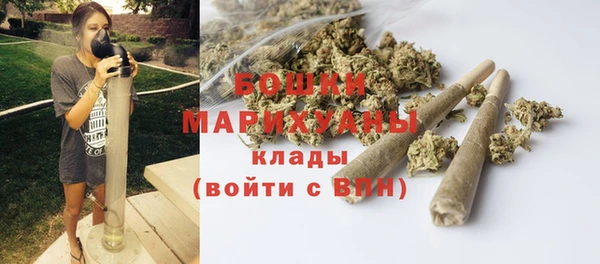 спиды Богородицк