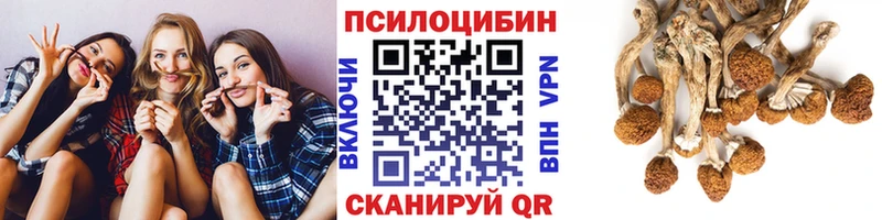 где купить наркоту  blacksprut вход  Псилоцибиновые грибы мухоморы  Оха 
